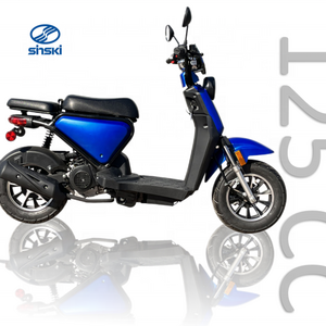 Hot selling products 49cc scooters scooter epa dot EEC Euro 4 for adult Motor Scooter Gas Moped 50cc