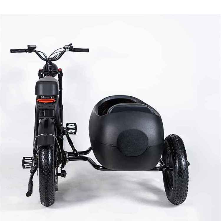 Super power high quality cargo  Electric scooter citycoco bike scooter electric 3 wheel electric scooter with side car