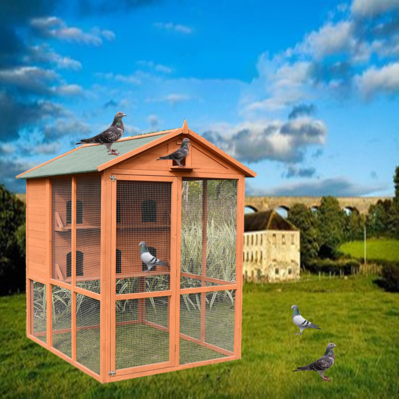 Outdoor pigeon cage aviary house shed bird pairing wooden bird pet cage rainproof sunscreen Bird Aviary