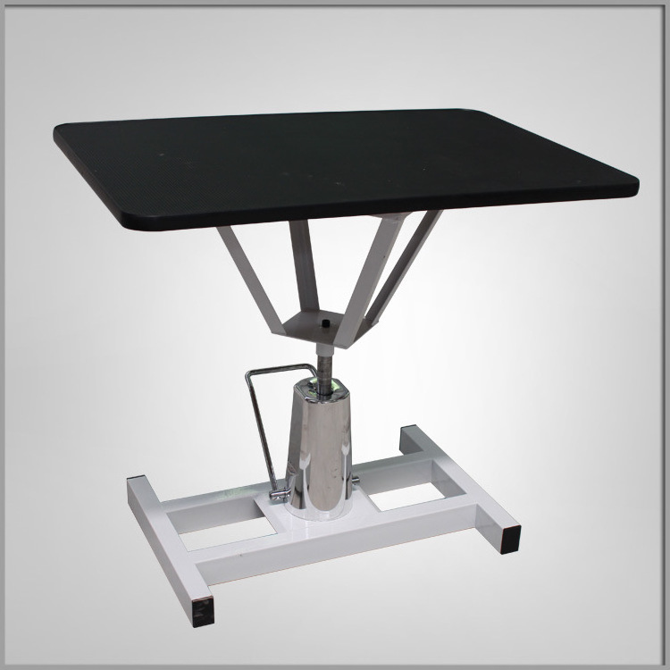 Electric Dog Pet Grooming Table Used for Veterinary Clinic and Hospital