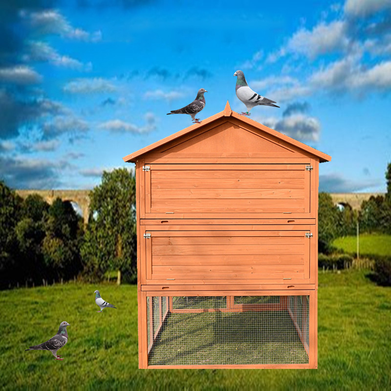 Outdoor pigeon cage aviary house shed bird pairing wooden bird pet cage rainproof sunscreen Bird Aviary