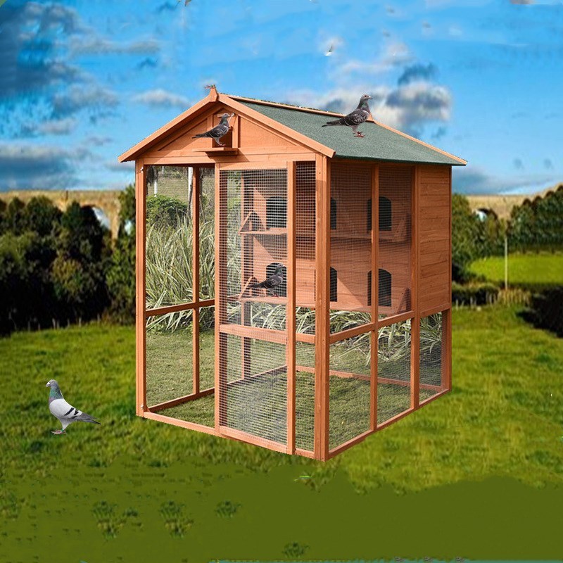 Outdoor pigeon cage aviary house shed bird pairing wooden bird pet cage rainproof sunscreen Bird Aviary