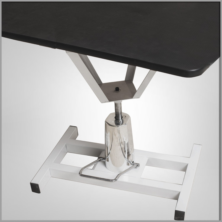 Electric Dog Pet Grooming Table Used for Veterinary Clinic and Hospital