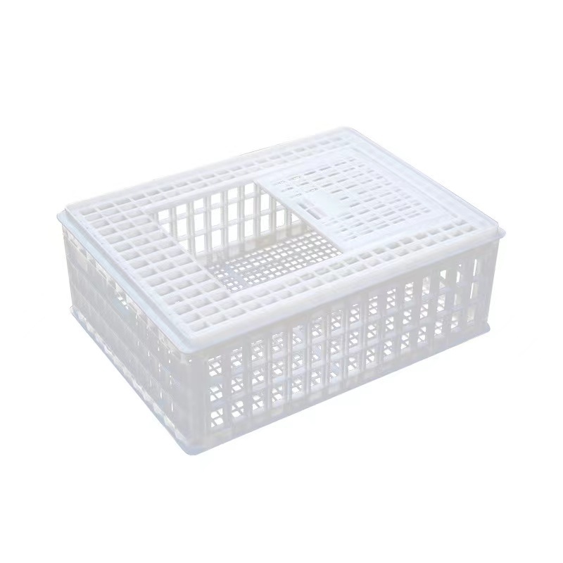 Poultry Shipping  Plastic Broiler Chicken Transport Crate Live Chickens Transportation Cage