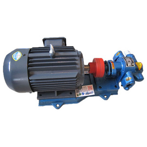 220v electric oil transfer gear pump portable electric oil pump small oil transfer pump