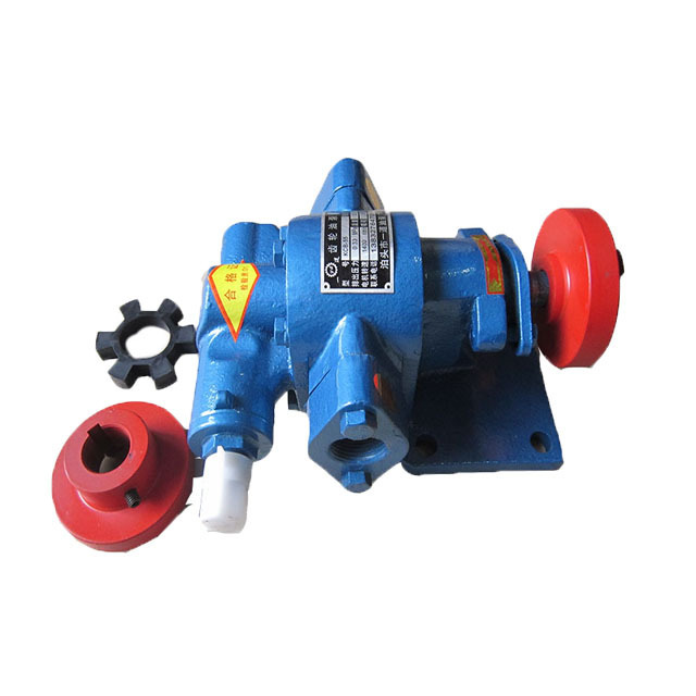 220v electric oil transfer gear pump portable electric oil pump small oil transfer pump