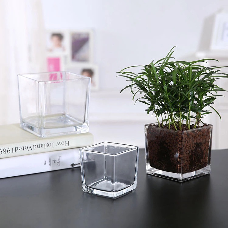 Cheap WeddingCube Square Candle Jar Plant Hydroponic Container Home Decor Glass Flower Vase