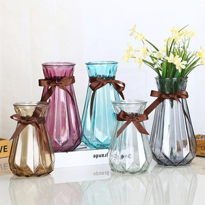 Creative Home Flower Arrangement Flower Hydroponic Vessel  Decoration Colorful Transparent Glass Vase