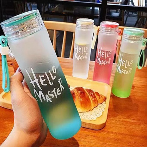 Colorful Wholesale Colorful Glass Water Bottle Frosted Drinkware Cheap Glass Camp Water Bottles