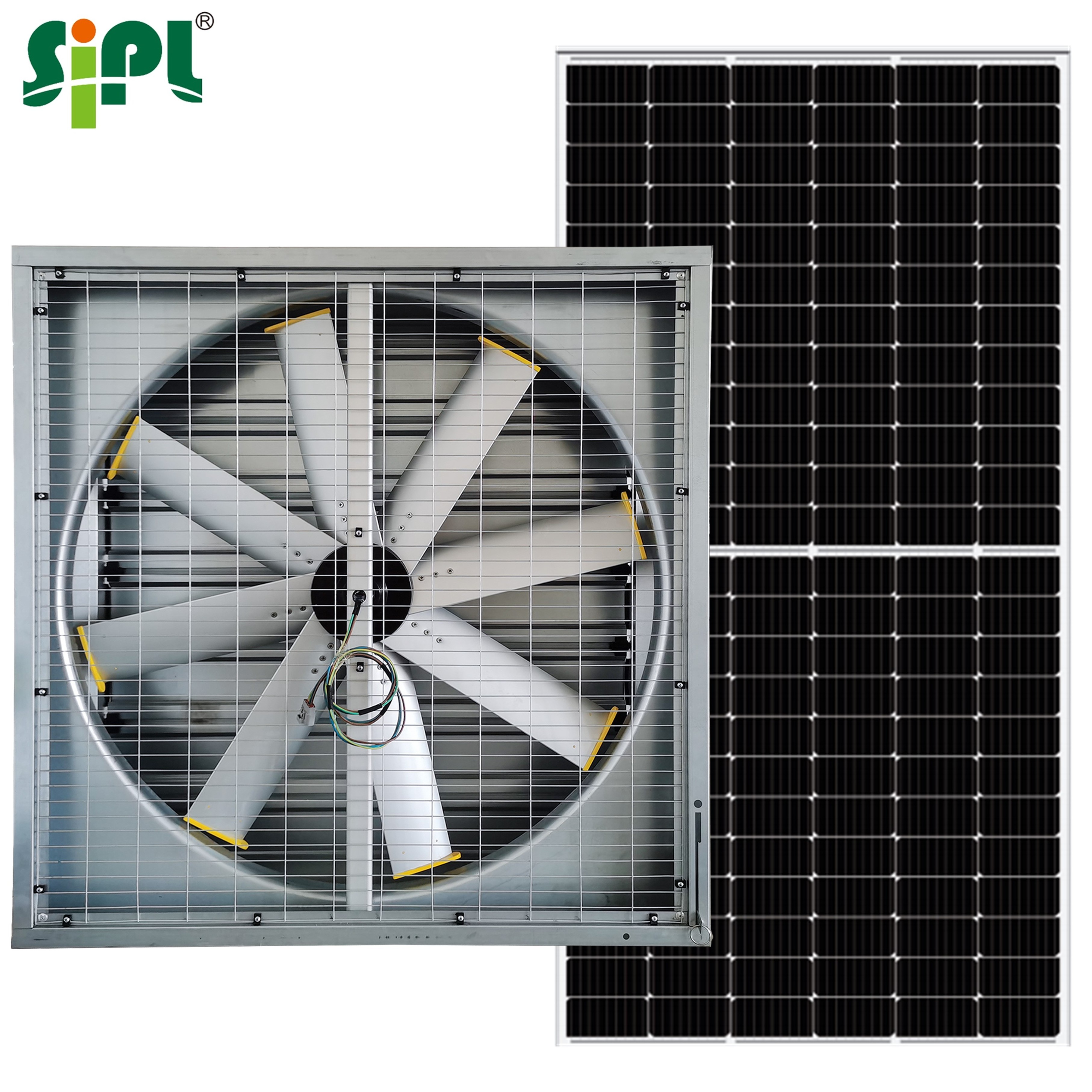 Industrial Commercial Big Box Air Exhaust Livestock Cow Shed Horse Barn Solar DC Motor Axial Fan Ventilation Cooling Wall Fan