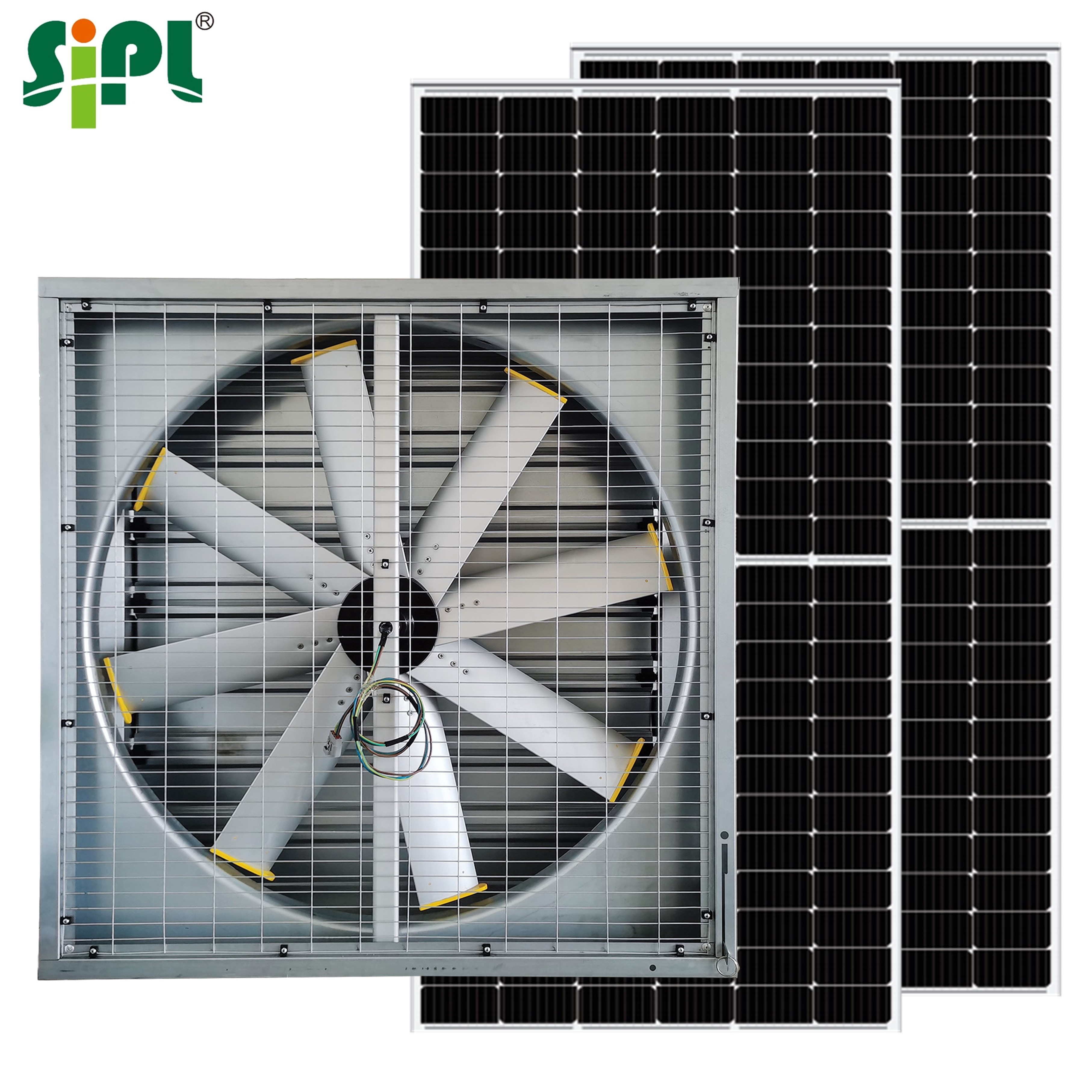 Industrial Commercial Big Box Air Exhaust Livestock Cow Shed Horse Barn Solar DC Motor Axial Fan Ventilation Cooling Wall Fan