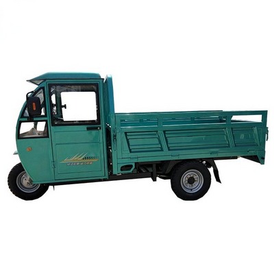 Three Wheeler Motorcycle Cargo Adult Electric Tricycle Cab Enclosed Closed Cab Driving Cargo Convenient Chang Li Product China