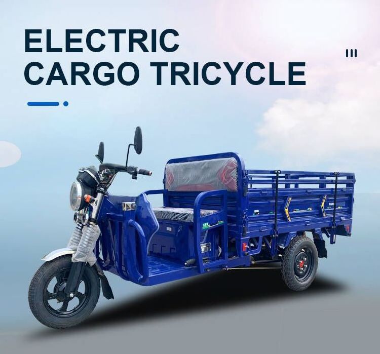 60v 1000w Top Selling Electric Bike Electric Fat Tire E Trike 3 Wheel Electric Tricycle With Cargo China