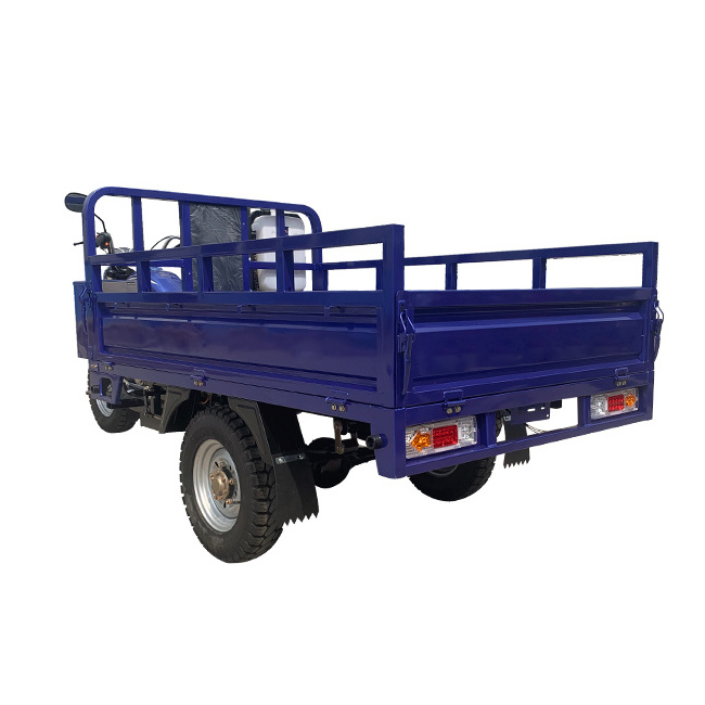 Heavy Carry Load Motorized 3 Wheel Cargo Motorcycle Tricycle Customized 300cc/250cc Gasoline Trimotos