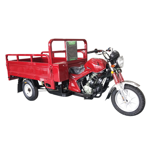 New Kind Customized Gas Powered Three Wheel Motorcycle/Cargo Tricycle For Adult China