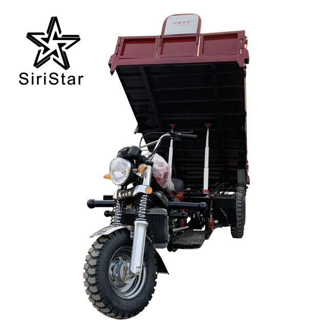 300cc Heavy Load Tricycle Water Cooled Engine Motorized Tricycle With Cargo 5 Wheel Motorcycle For Adult