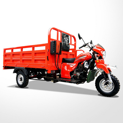 Gasoline adult tricycle petrol three wheel cargo 250cc trike scooter cargo tricycle