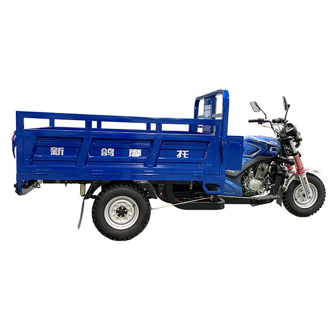 300cc Heavy Loader 2 Ton Plus Motor Trike Double Rear Axle Gasoline Cargo Tricycle