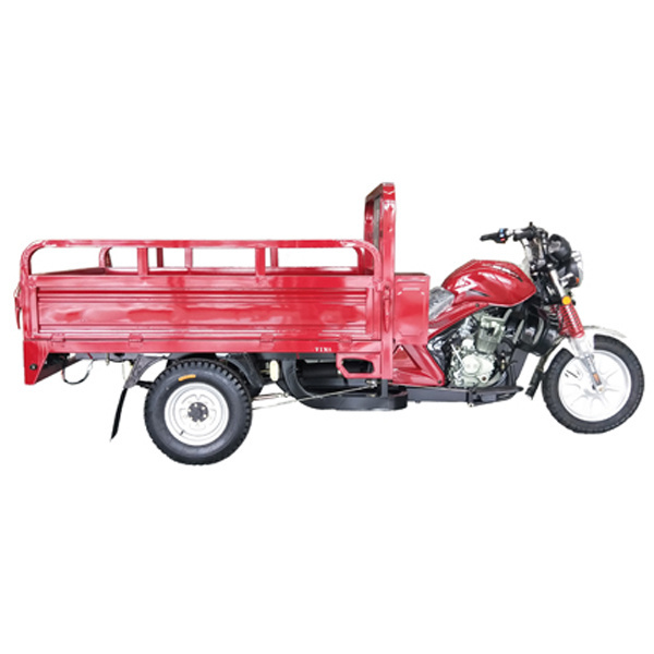 New Kind Customized Gas Powered Three Wheel Motorcycle/Cargo Tricycle For Adult China