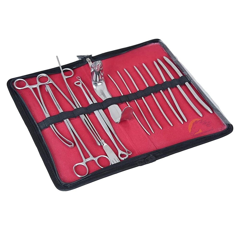 High Quality C & D Set Delivery Set Medical Standard Delivery Instruments Kit / Birth Surgery D & C Cesarean Gyne C Section Set