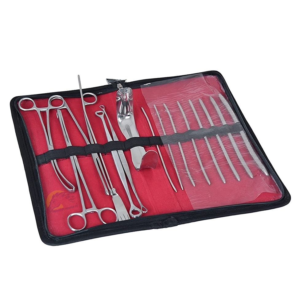 High Quality C & D Set Delivery Set Medical Standard Delivery Instruments Kit / Birth Surgery D & C Cesarean Gyne C Section Set