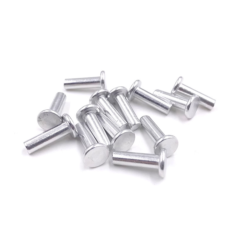 Decorative stainless steel flat head solid rivets for furniture