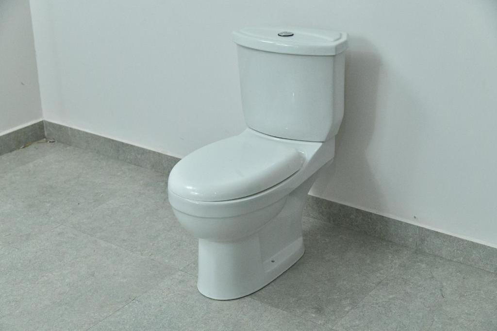 Expertly Made & Dual Flushing System S Trap & P Trap High Durability Aqua EWC Two Piece Water Closet Factory Supply