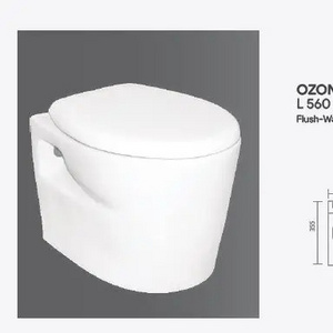 Slim frame flush cistern soft close europe wall mounted rimless with microlift and installation Wall hung Toilet Made in India