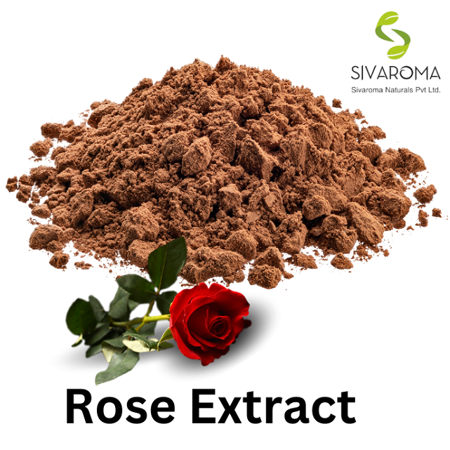 Rose Petals Extract Powder Extracted from Dried Flowers and Leaves 100% Natural Rose Powder Available at Bulk for Buyers