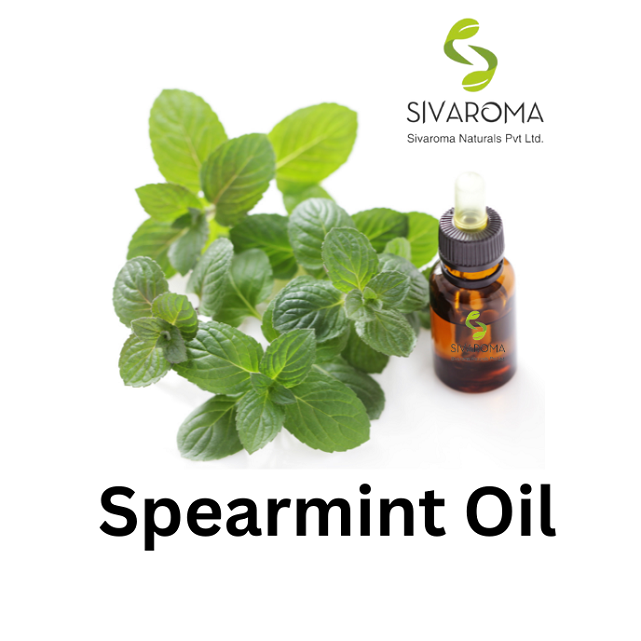 Wholesale Aromatherapy Spearmint Essential Oil At Bulk Price - Organic And 100% Pure Spearmint Essential Oil For Face And Hair