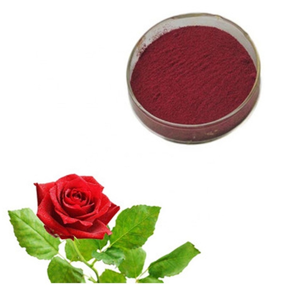 Rose Petals Extract Powder Extracted from Dried Flowers and Leaves 100% Natural Rose Powder Available at Bulk for Buyers