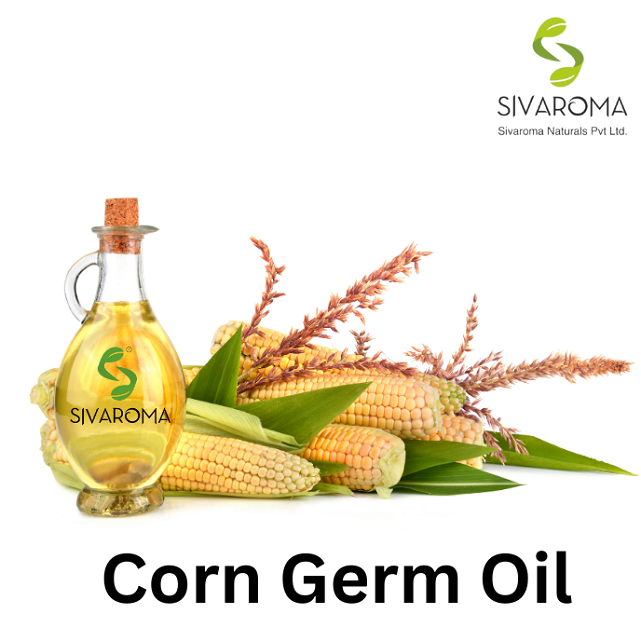 Supply Best Quality Corn Germ Oil for Bulk Order by Indian Top Class Manufacturer and Exporter Fresh Corn Oil For Bulk Buyers