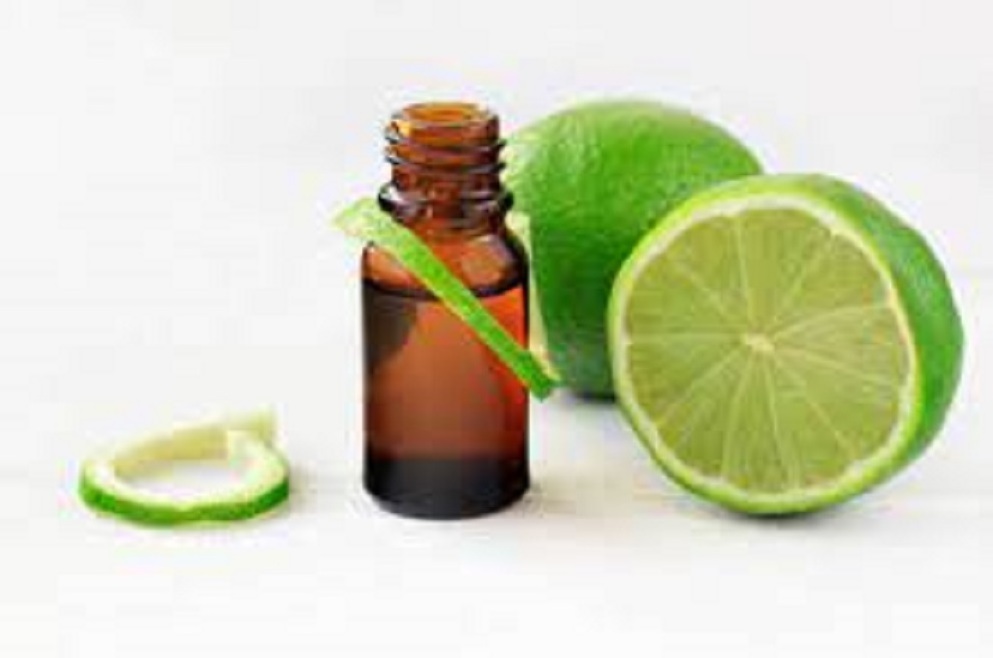 Aroma Grade Lime Essential Oil with ISO & GMP Approved Certificates Lime Essential Oil Exporters in Bulk Quantity