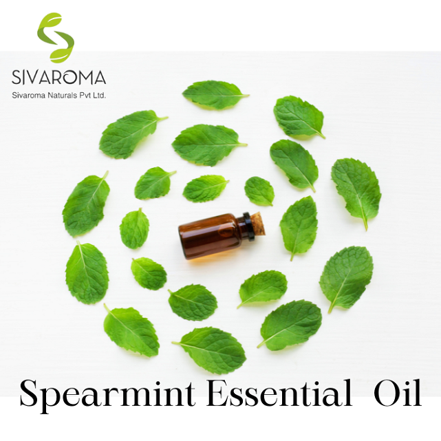 Wholesale Aromatherapy Spearmint Essential Oil At Bulk Price - Organic And 100% Pure Spearmint Essential Oil For Face And Hair