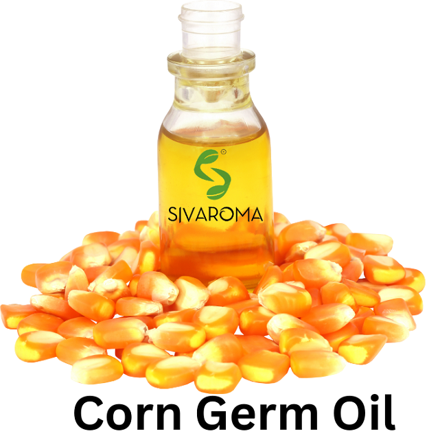 Supply Best Quality Corn Germ Oil for Bulk Order by Indian Top Class Manufacturer and Exporter Fresh Corn Oil For Bulk Buyers