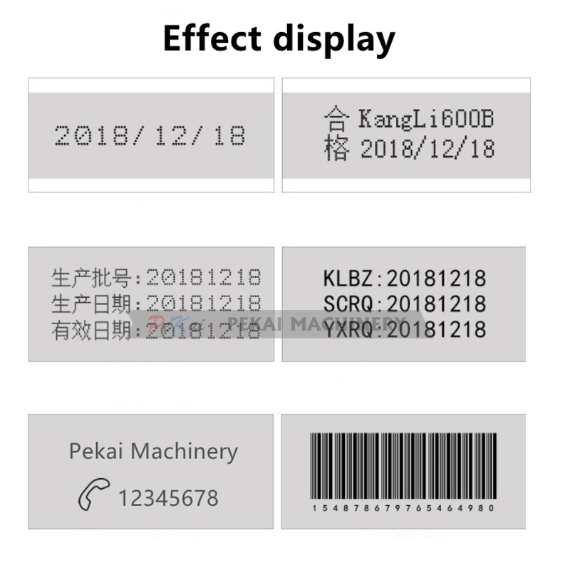 Desktop Electric Pad Printing Machine TDY-300 Large Cup Plate Printer Oil Ink Pattern Date Printer