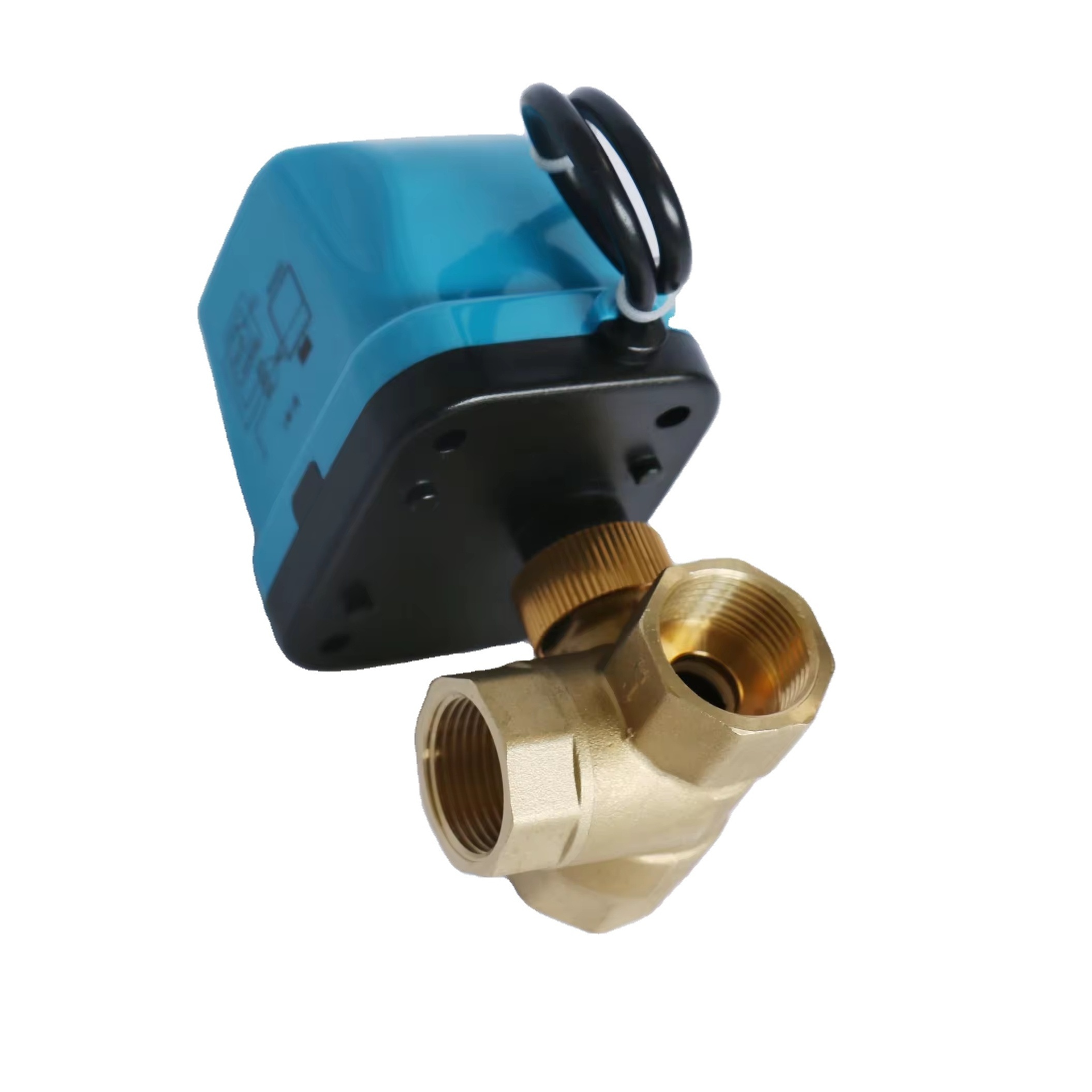 3-Way Motorized Electric Ball Valve Brass Water Control Valve with Two-Way AC220V Control OEM Supported Brass Plastic DN20