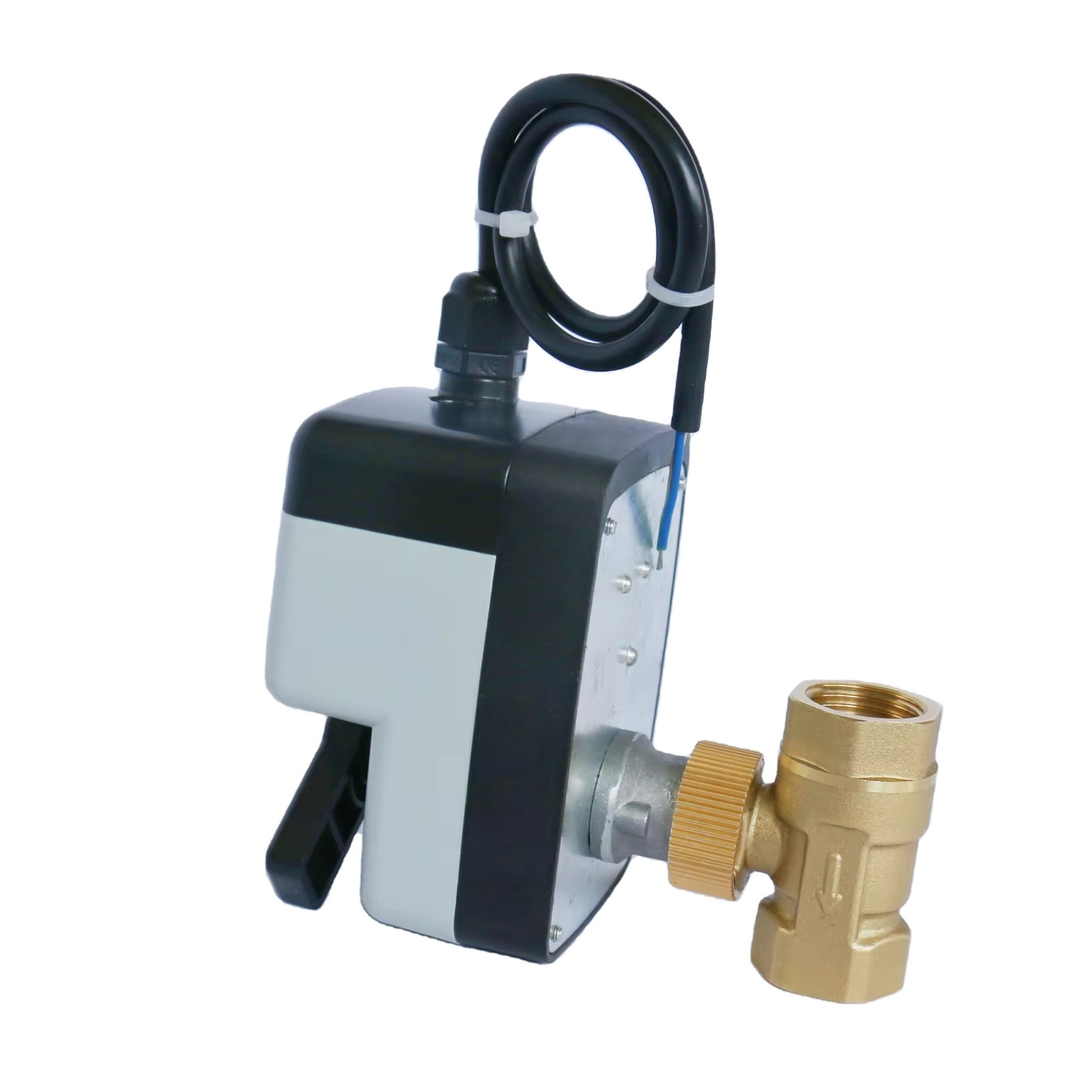 Motorized Ball Valve Two-way Manual Switch Actuator with 2 Wires For Control water flow AC220V DN15