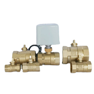 Motorized Ball Valve 1/2 3/4 1 1-1/4 1-1/2 2 Inch Size Three Line Two Control Reduced Caliber AC220v AC24v AC12v DC24V AC110V