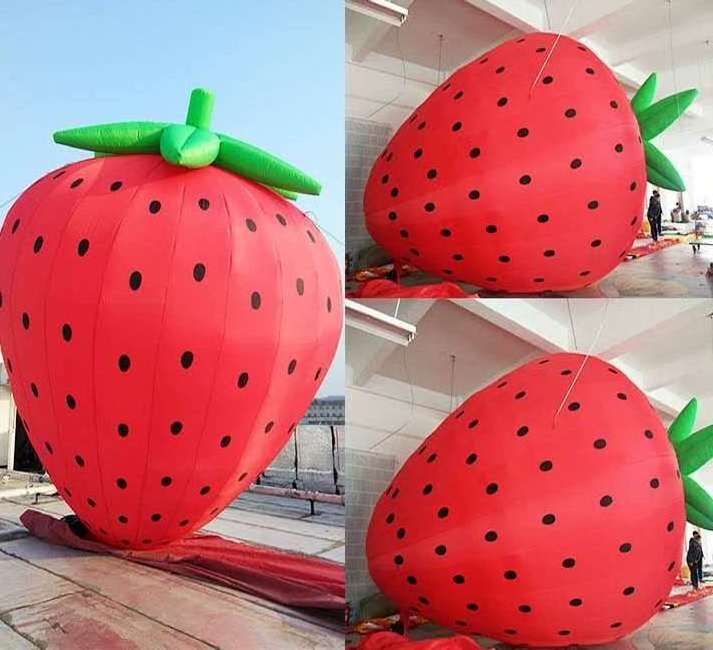 Large Advertisement Inflatable Costumes Strawberry Blow Up Fish Air Sky Dancer