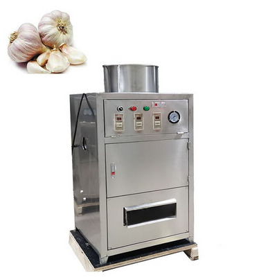 Low Cost Electric Garlic Peeling Machine Garlic Skin Removing Machine Electric Garlic Peeler