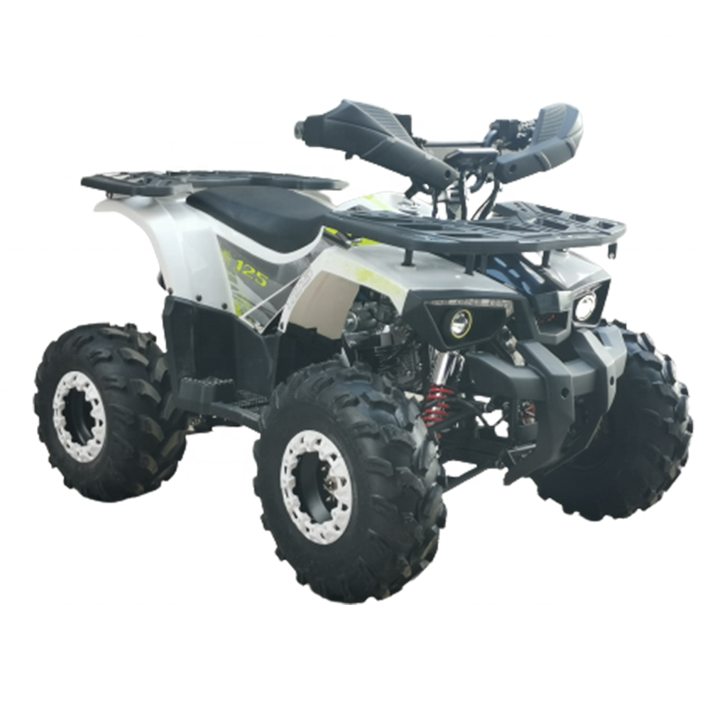 Factory Wholesale Quad Bike 2X4 Off Road Moto 125 Cc Manual China Kid Vehicle Cuatrimoto Atv 125Cc