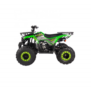 Best Price Cuatrimoto Moto Aro 8 125 Cc Cuatri Cuatrimot Engine Zhejiang Hummer Quad Bike Racing 125Cc Atv