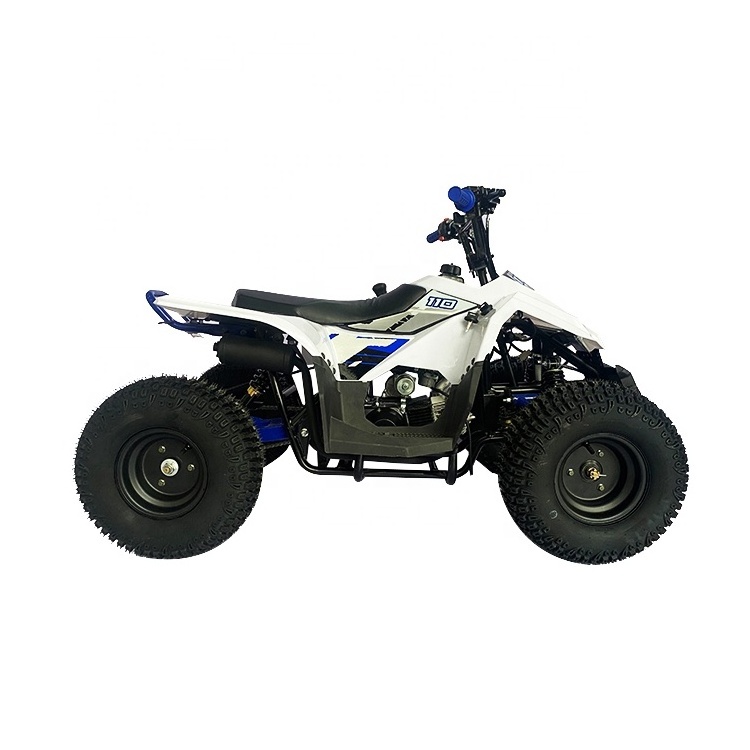 Wholesale 110Cc Quad 110 Panther Mini Kit 50Cc 90Cc Chain Drive 4 stroke Petrol Atv Kid four wheelers