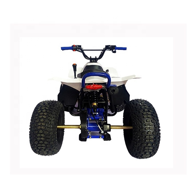 Wholesale 110Cc Quad 110 Panther Mini Kit 50Cc 90Cc Chain Drive 4 stroke Petrol Atv Kid four wheelers