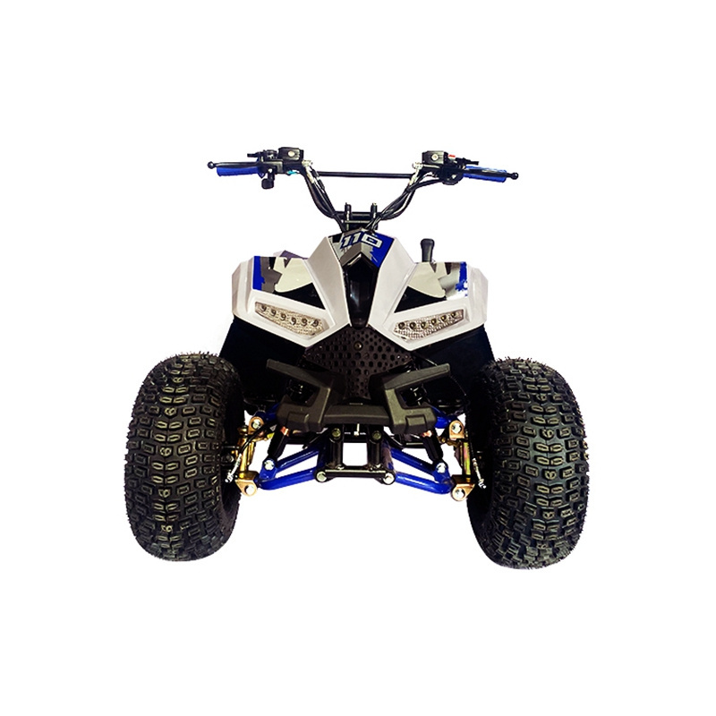 Factory Price Wholesale 110Cc Raptor Quad 110 Panther Mini Kit Kid 50Cc 90Cc Zhejiang 4 Wheeler Atv For Teen