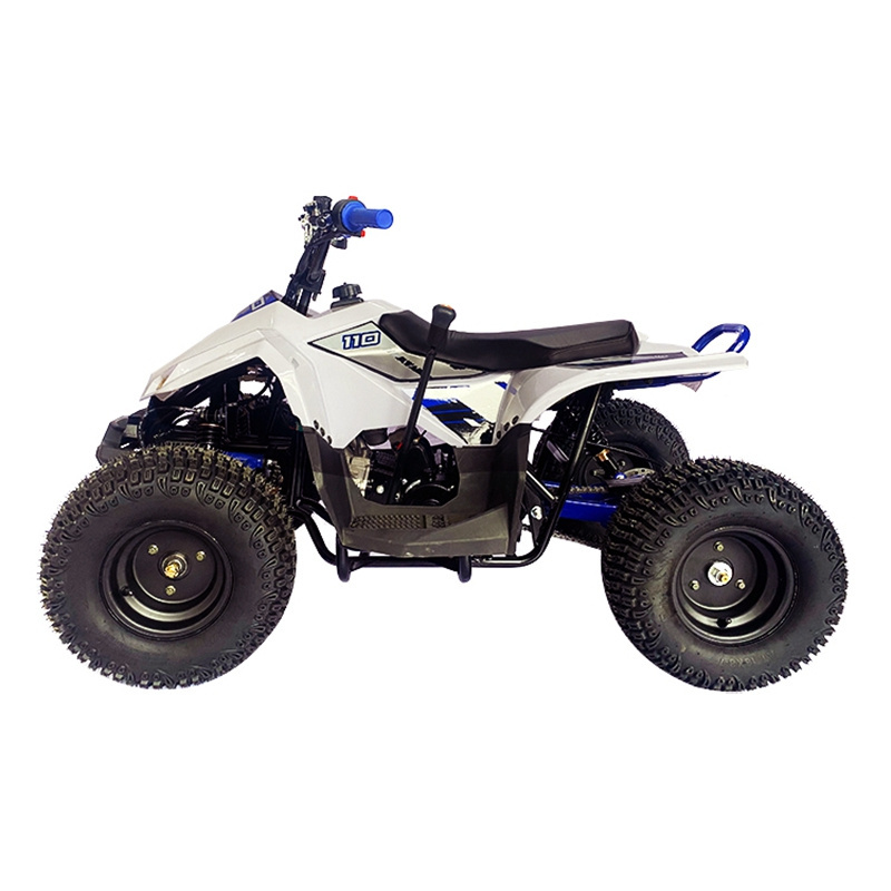 Factory Price Wholesale 110Cc Raptor Quad 110 Panther Mini Kit Kid 50Cc 90Cc Zhejiang 4 Wheeler Atv For Teen