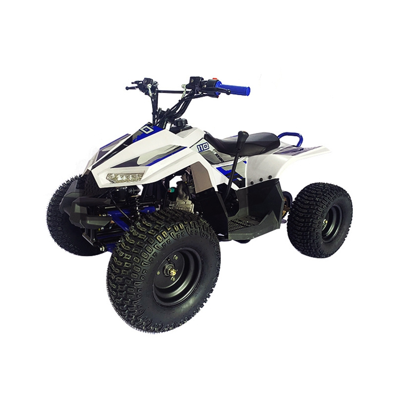 Factory Price Wholesale 110Cc Raptor Quad 110 Panther Mini Kit Kid 50Cc 90Cc Zhejiang 4 Wheeler Atv For Teen