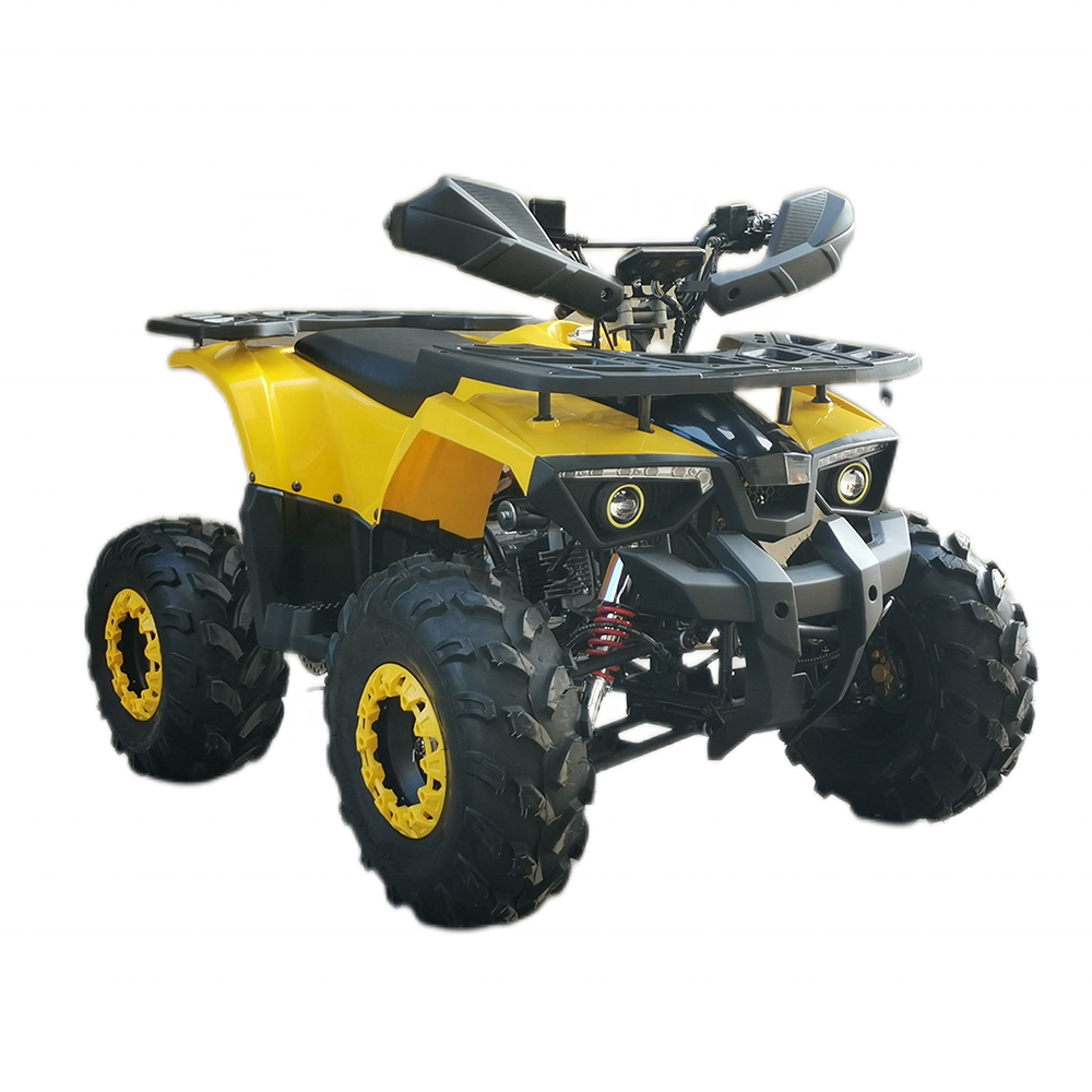 Factory Wholesale Quad Bike 2X4 Off Road Moto 125 Cc Manual China Kid Vehicle Cuatrimoto Atv 125Cc