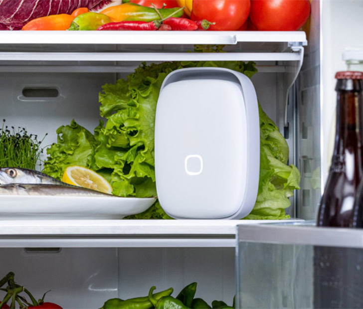 extending shelf-life of food in refrigerator no more bad odors and eliminate microbes and eat healthy